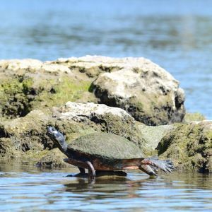 Meet your Posher, Christy